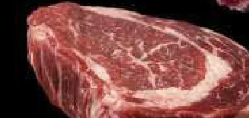 Lomito Robert